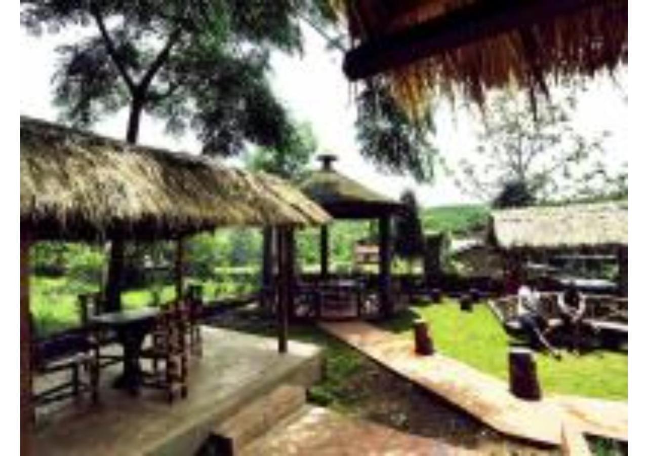 Wood Sinhagad